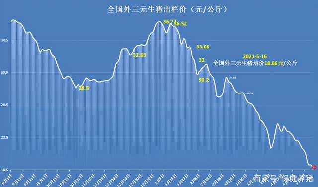 下半年猪价分析与预测，早期趋势展望及展望预测