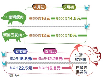 全国今日猪肉价格最早