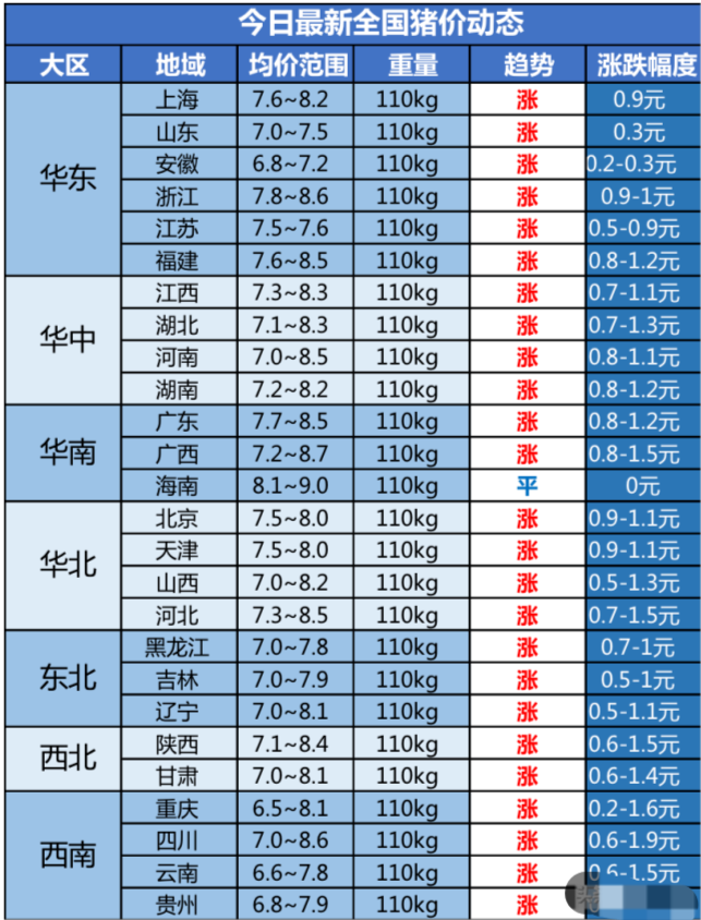 全国猪价格表首发解析，发布时间与影响因素探讨